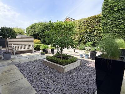 Picture 20
